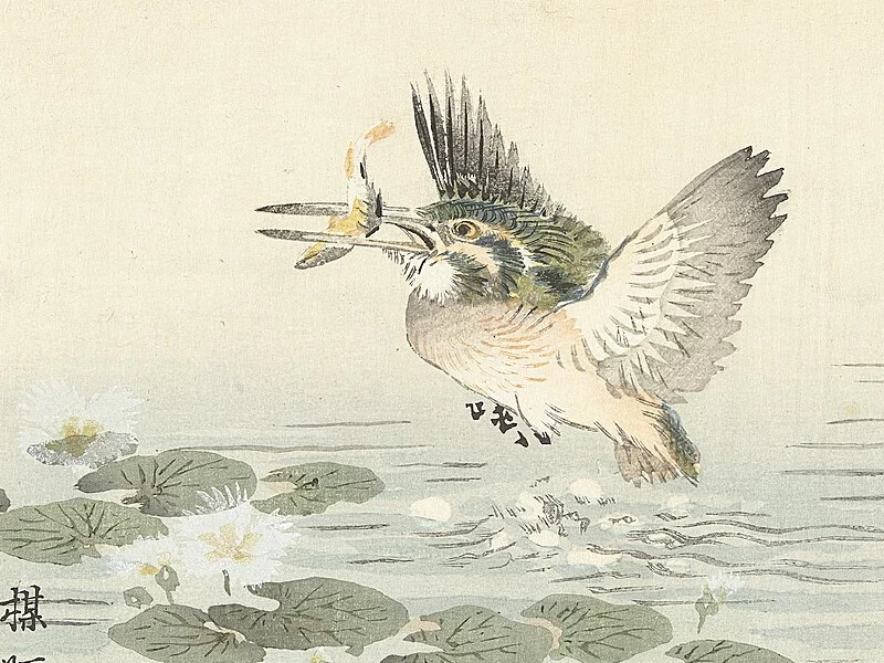 1844-Kōno Bairei - Martin pescatore